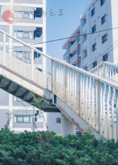 momoのポートフォリオ2