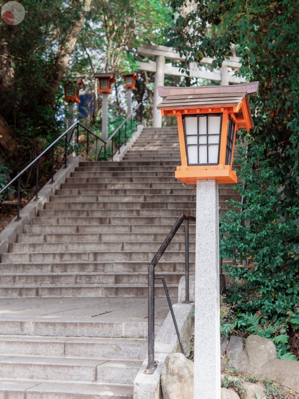 momoのポートフォリオ3