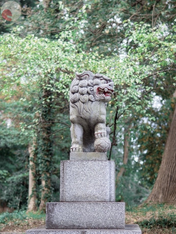 momoのポートフォリオ4