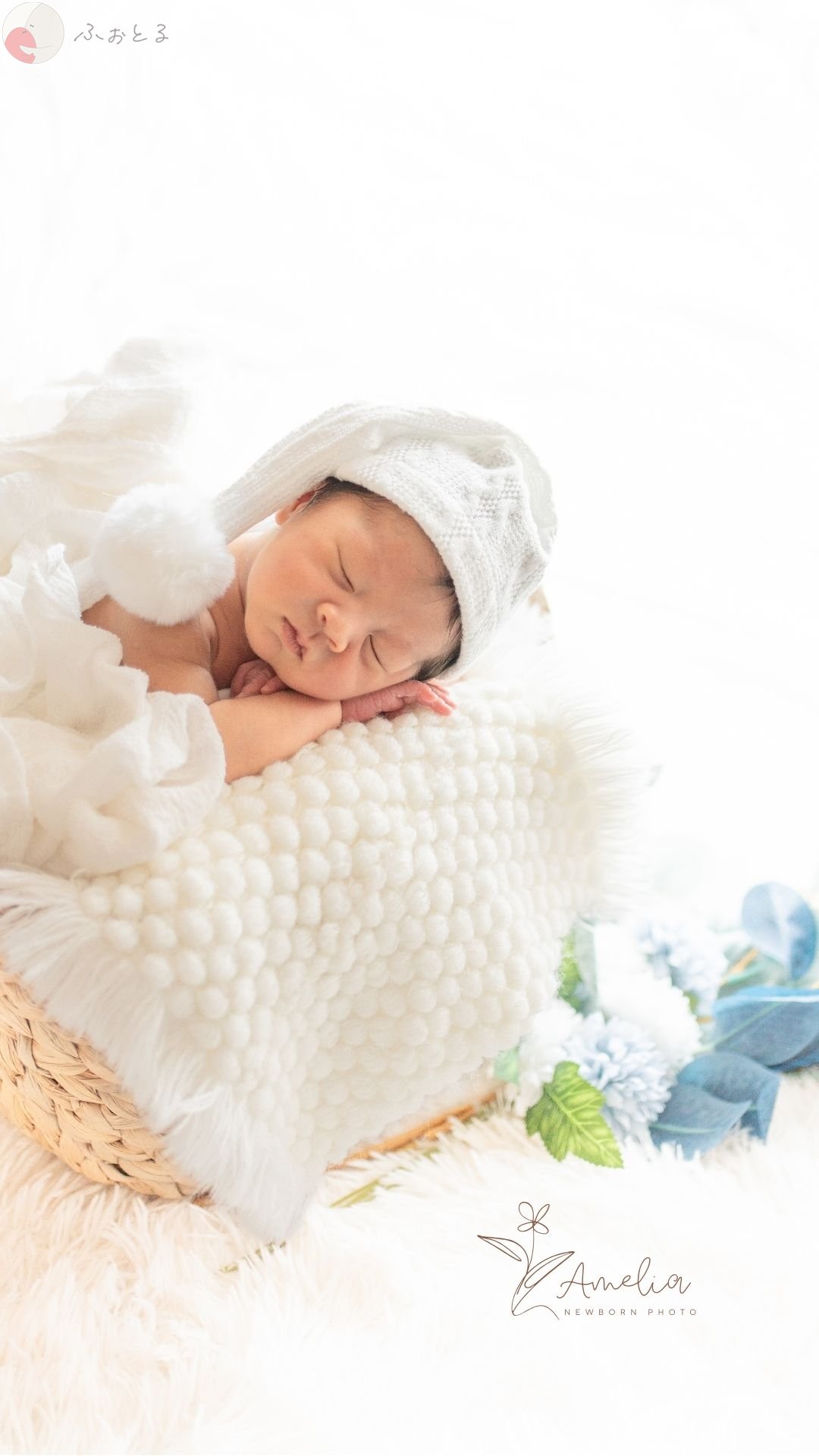 NAOのポートフォリオ2