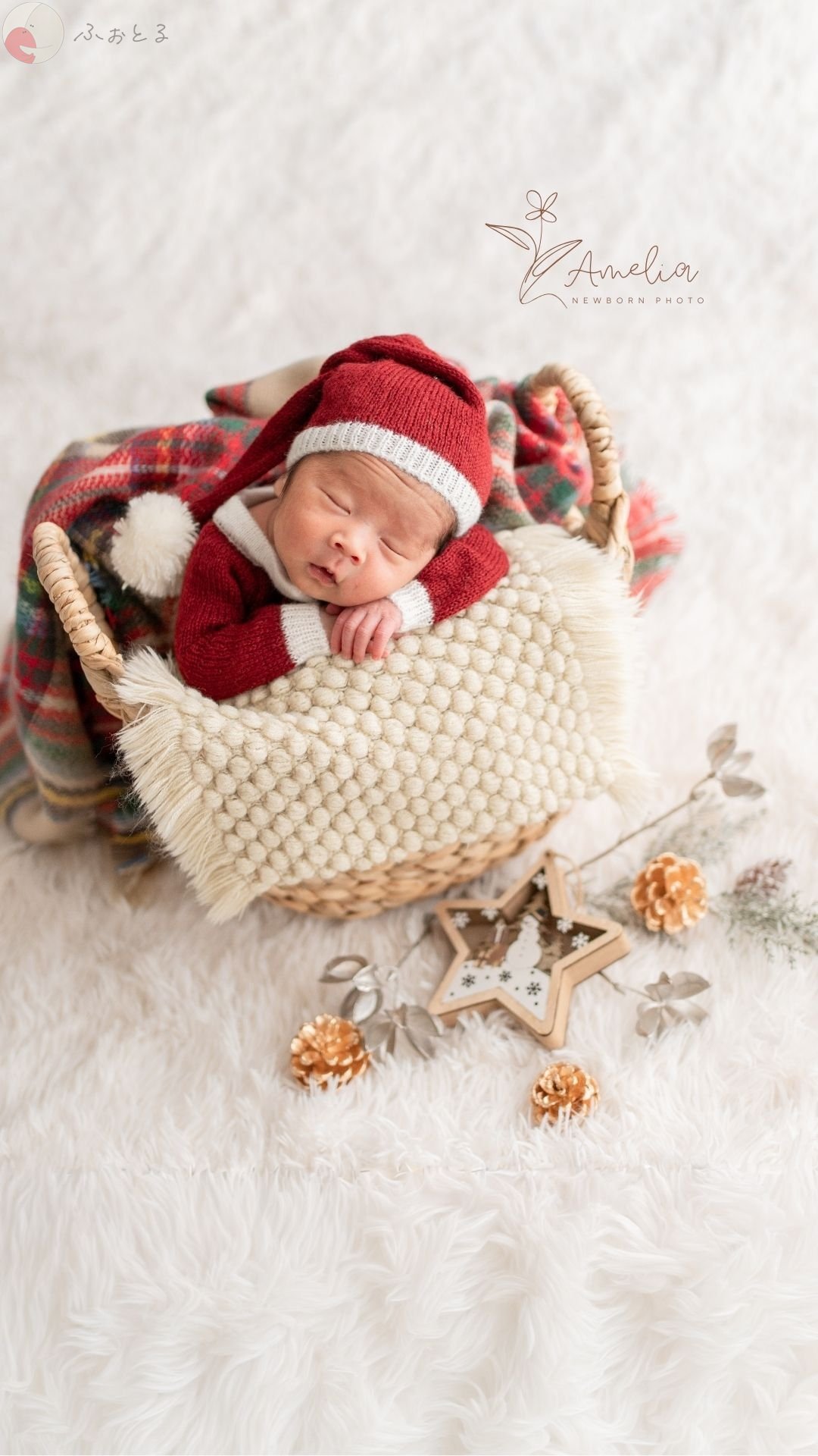 NAOのポートフォリオ4