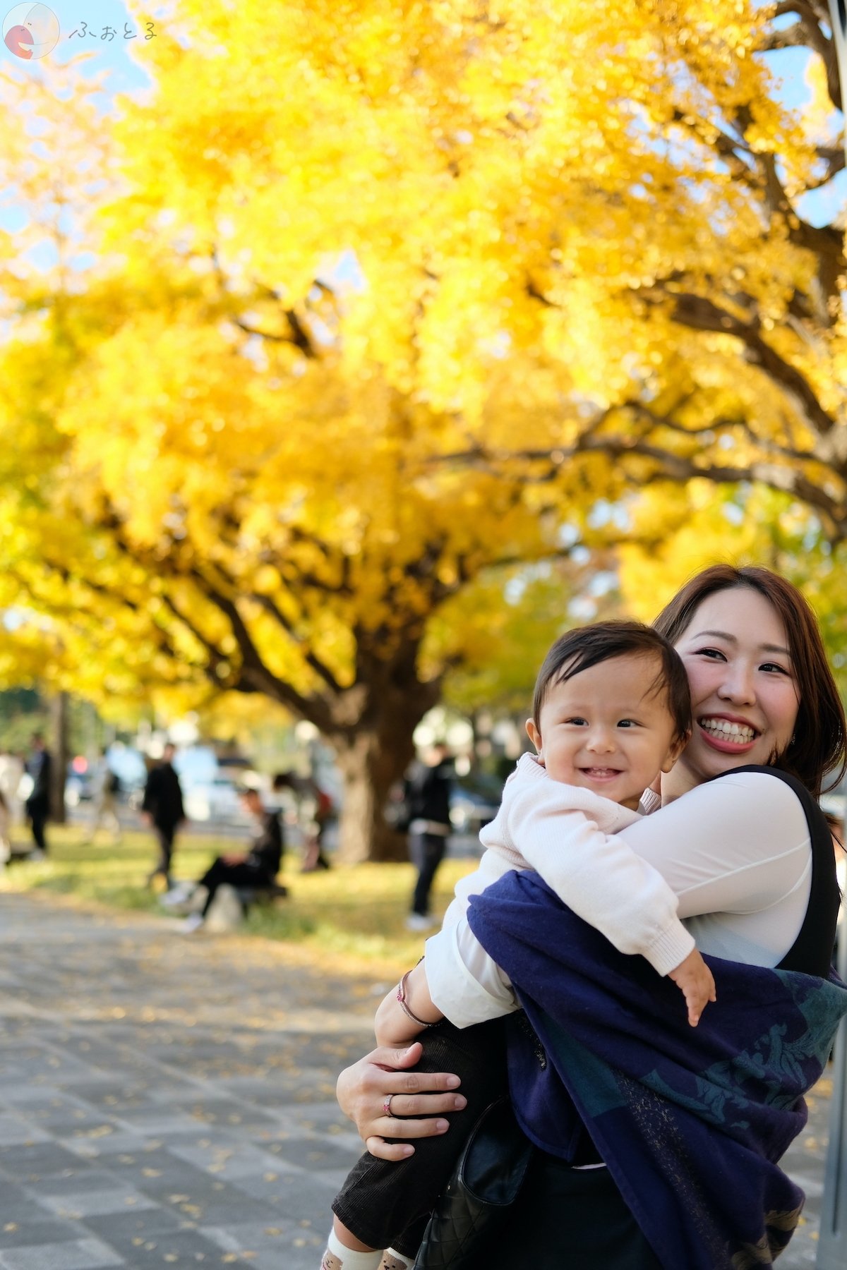 リーのポートフォリオ7