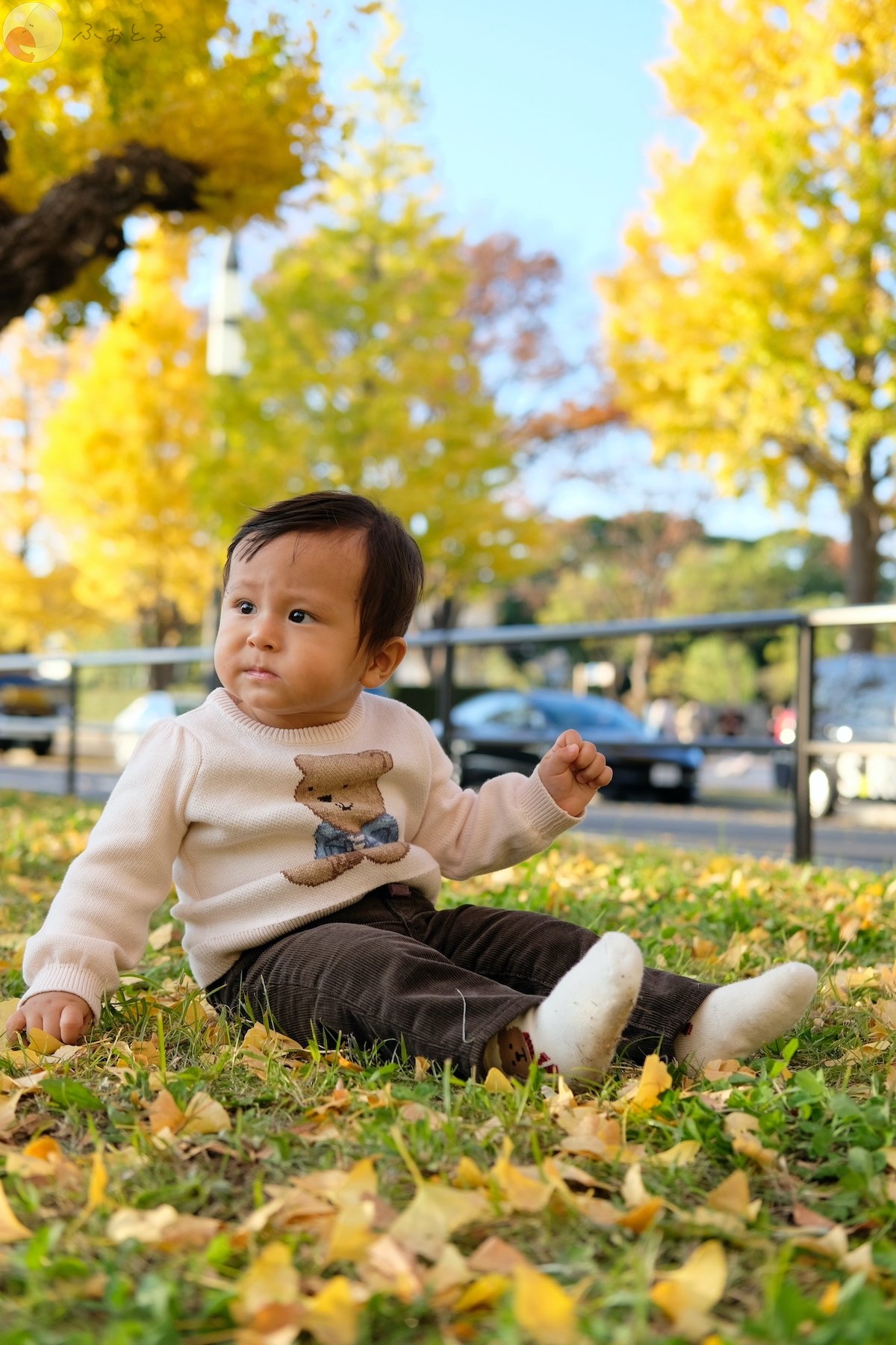 リーのポートフォリオ8