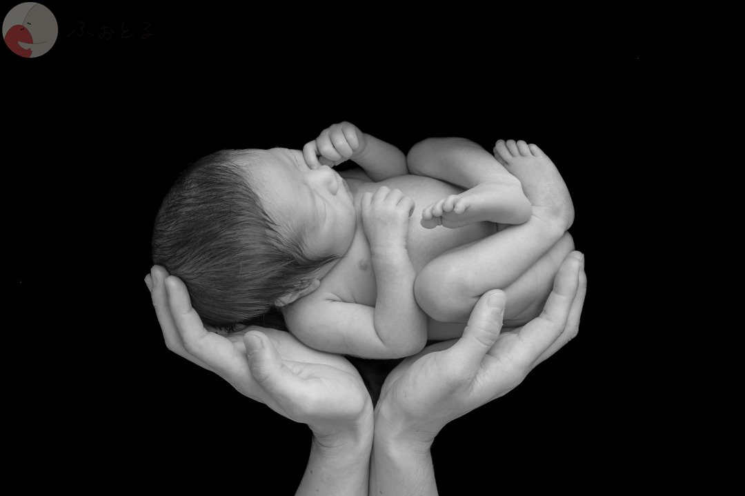 Rionaのポートフォリオ3