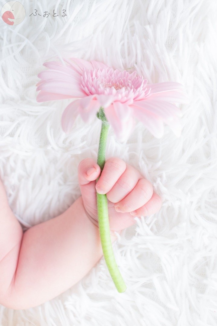 Rionaのポートフォリオ8