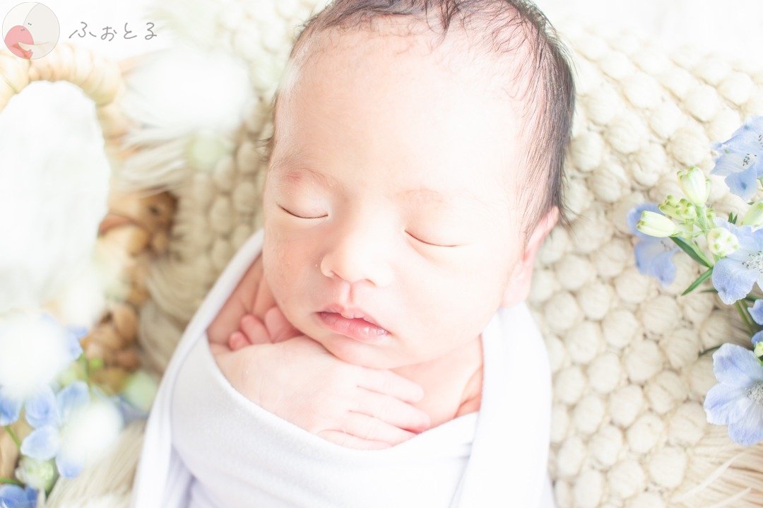 Rionaのポートフォリオ9