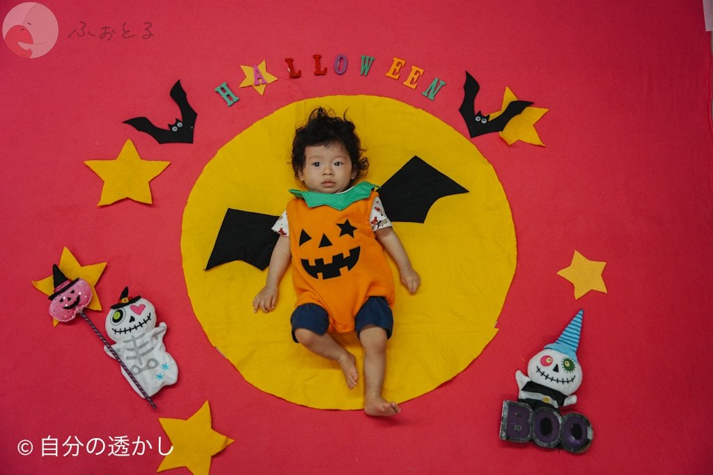 DJ パパカメラのポートフォリオ2