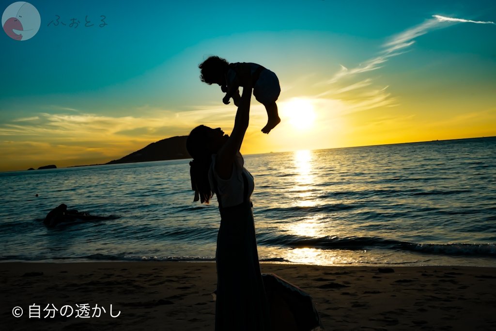 DJ パパカメラのポートフォリオ5