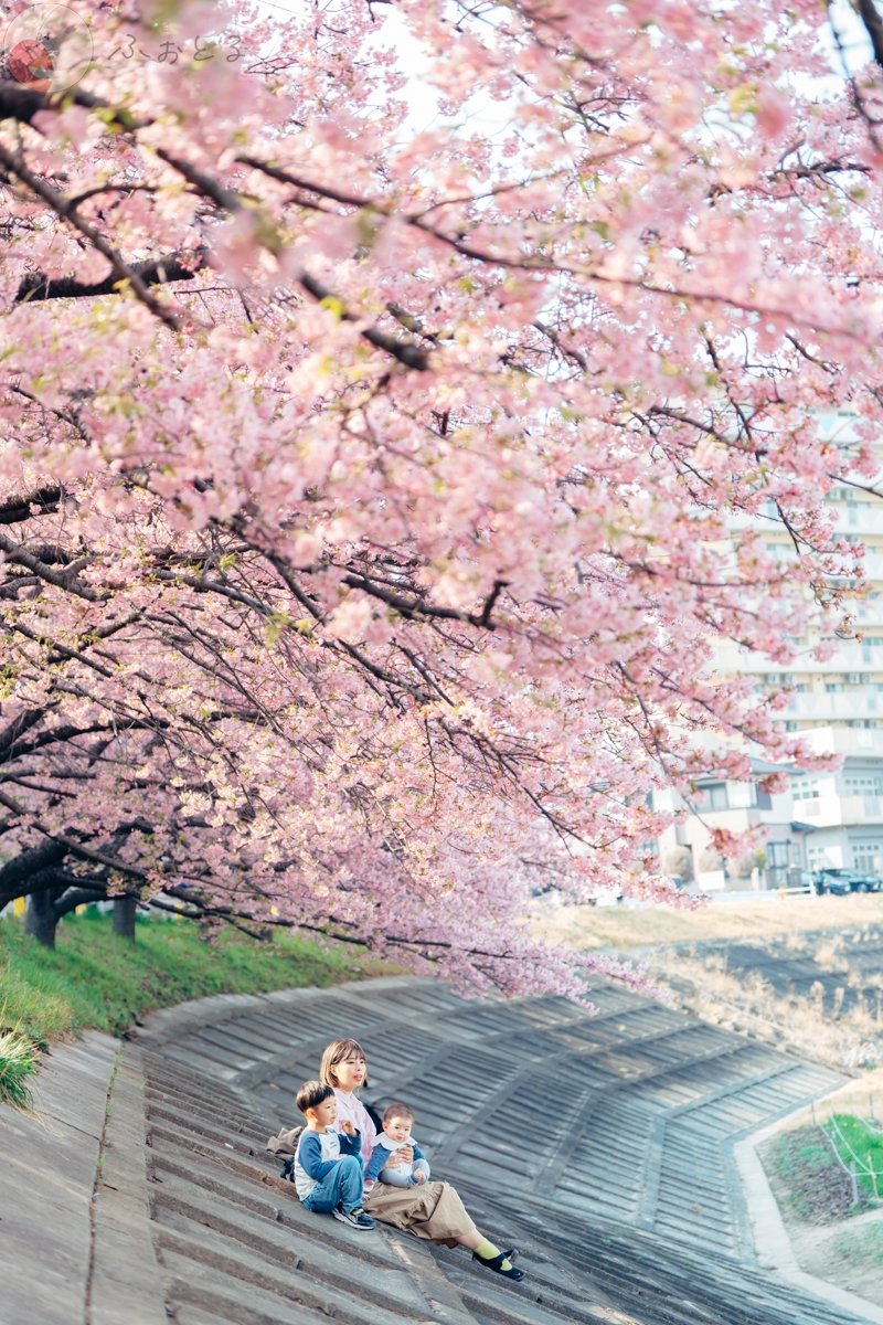 大石綾香のポートフォリオ5
