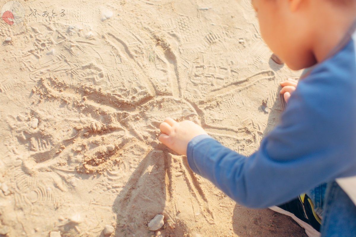 大石綾香のポートフォリオ9