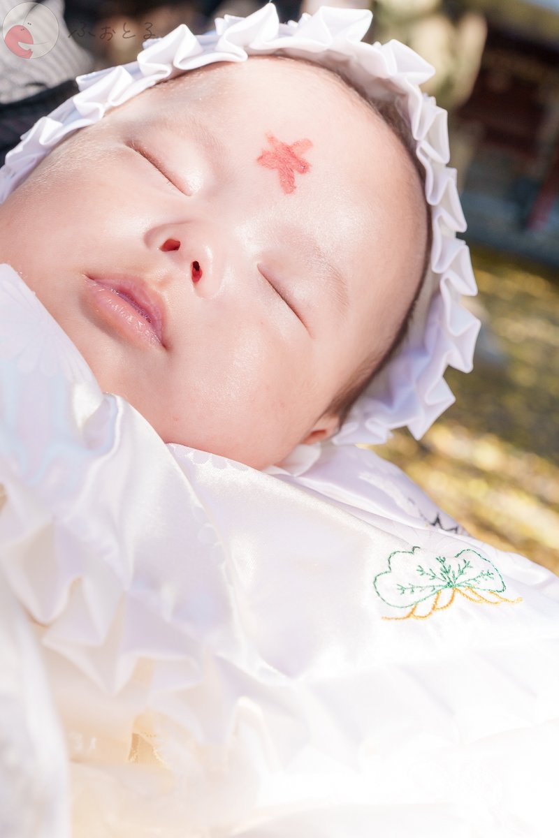 DAIのポートフォリオ4