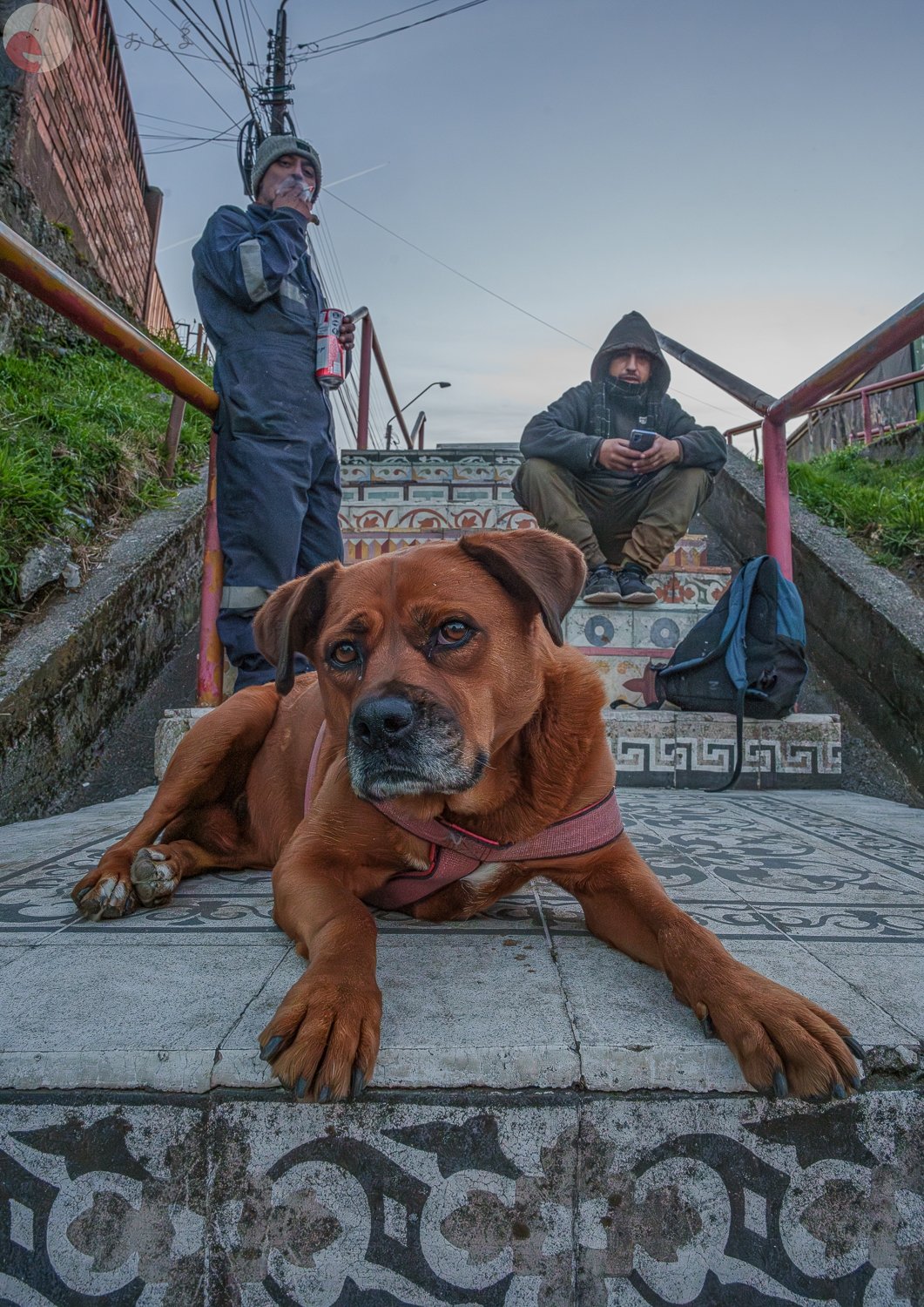 DAIのポートフォリオ4