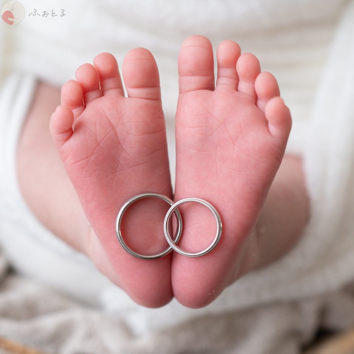 大坂桃子のポートフォリオ0