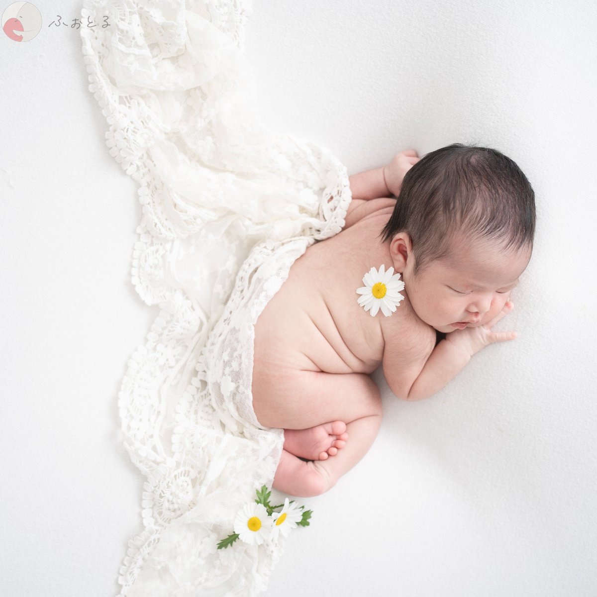 大坂桃子のポートフォリオ1