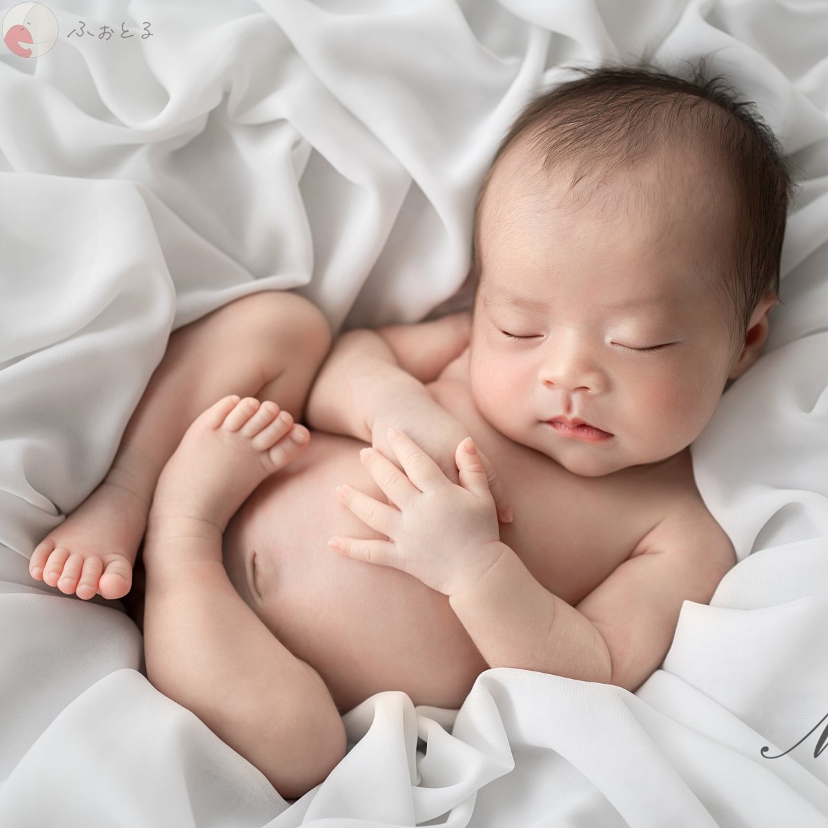 大坂桃子のポートフォリオ3