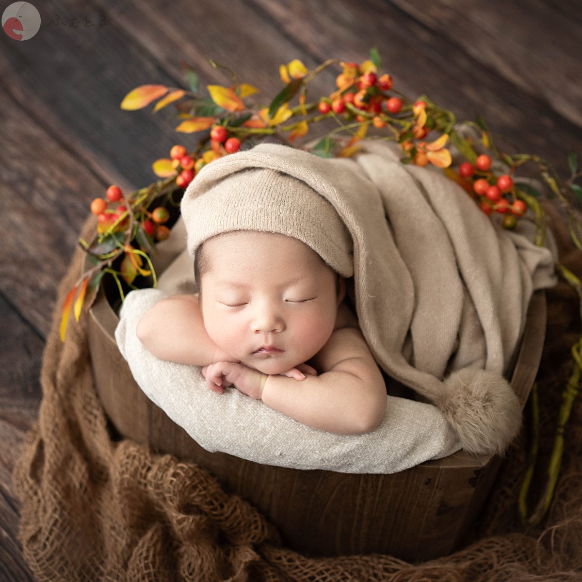 大坂桃子のポートフォリオ4