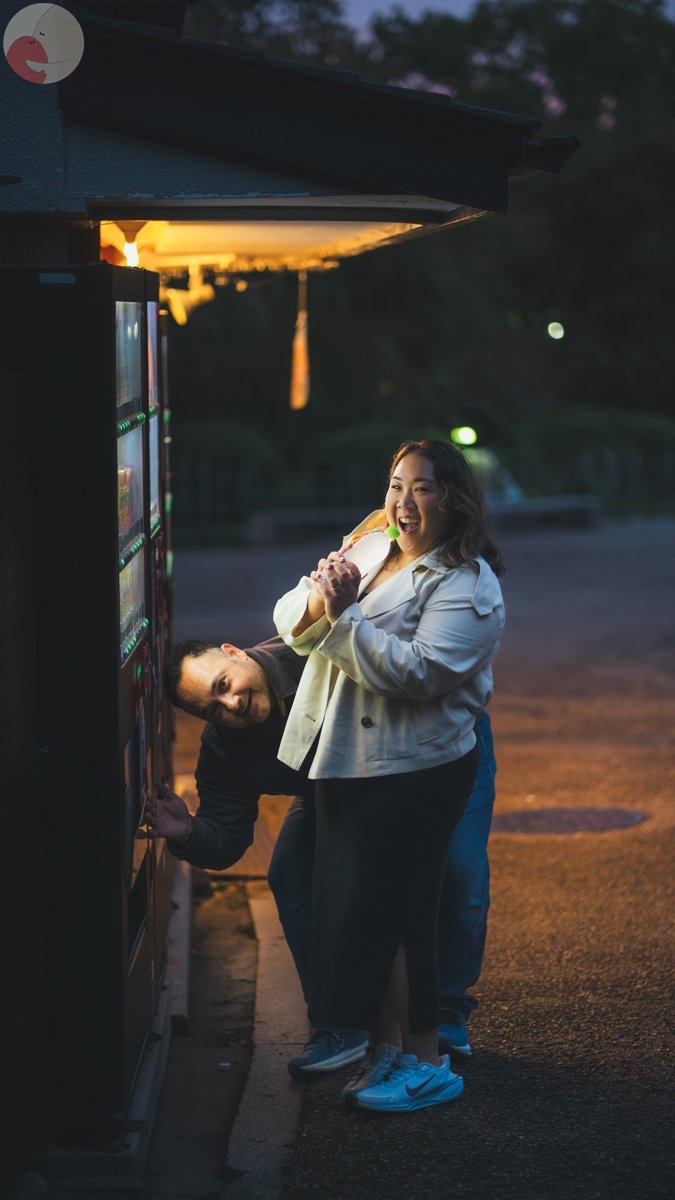 アレックスのポートフォリオ1