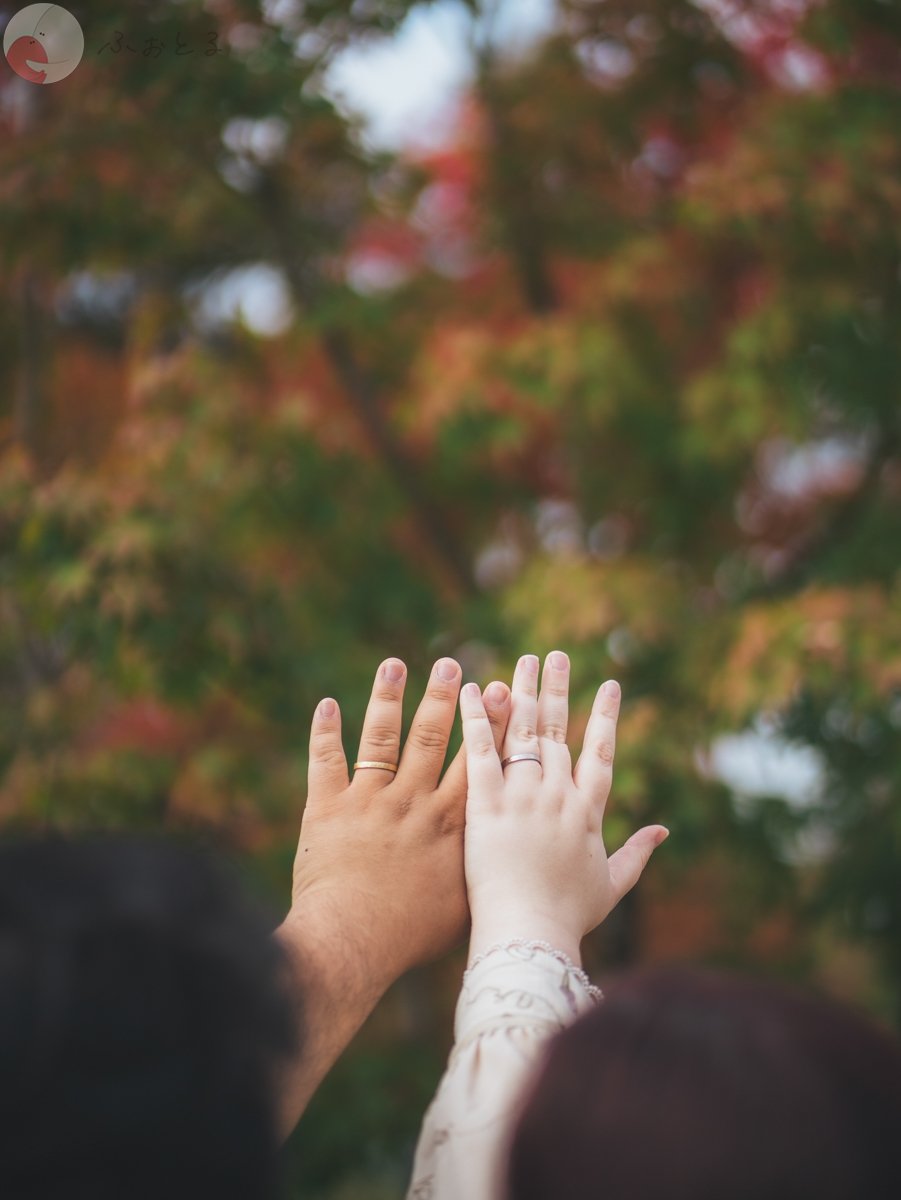 アレックスのポートフォリオ3