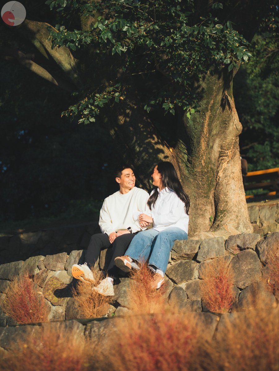 アレックスのポートフォリオ5