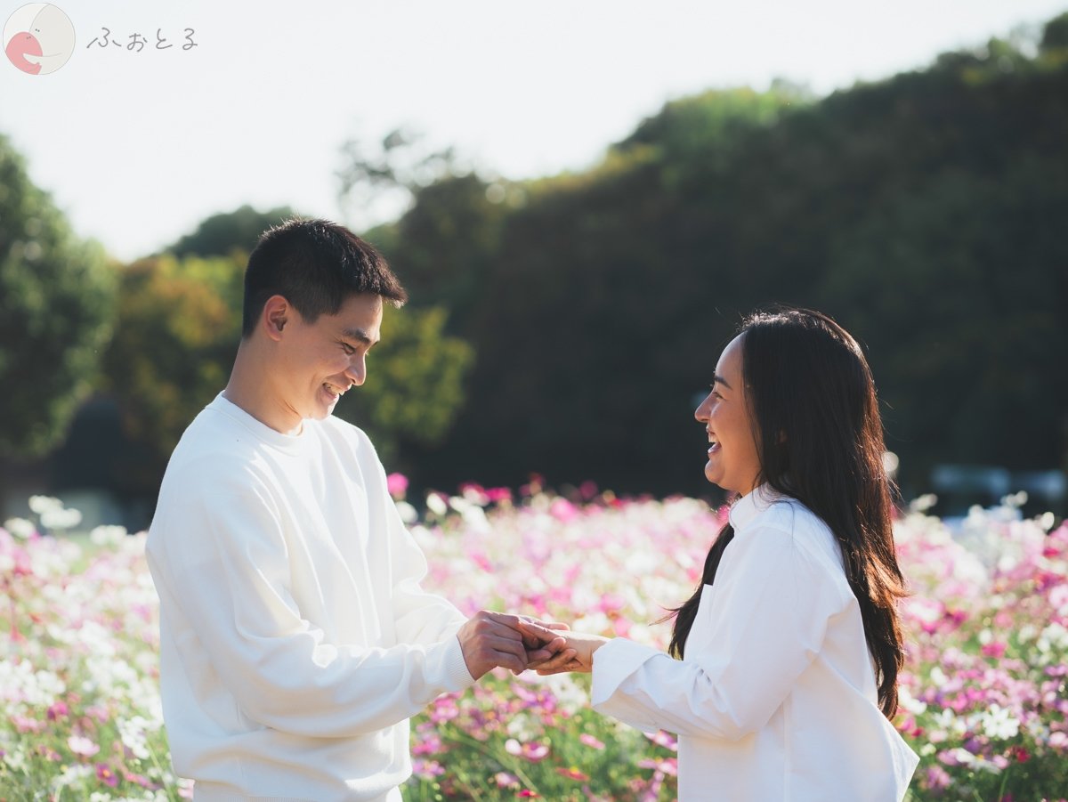 アレックスのポートフォリオ6