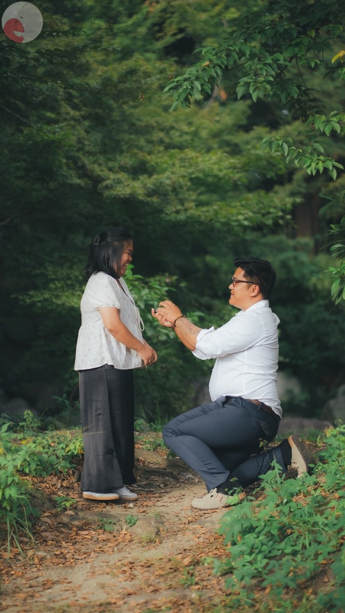 アレックスのポートフォリオ5