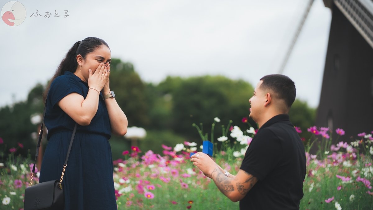 アレックスのポートフォリオ4