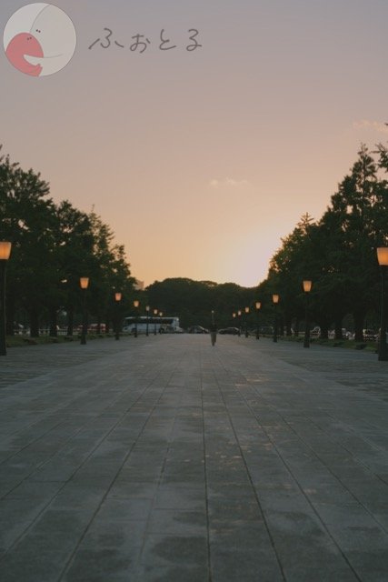 さいとうとおんのポートフォリオ2