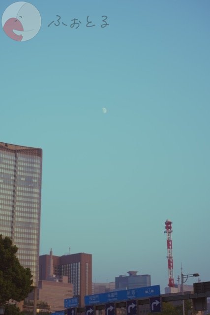 さいとうとおんのポートフォリオ5