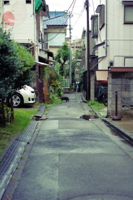 さいとうとおんのポートフォリオ1