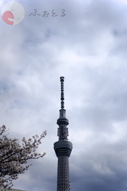 さいとうとおんのポートフォリオ0