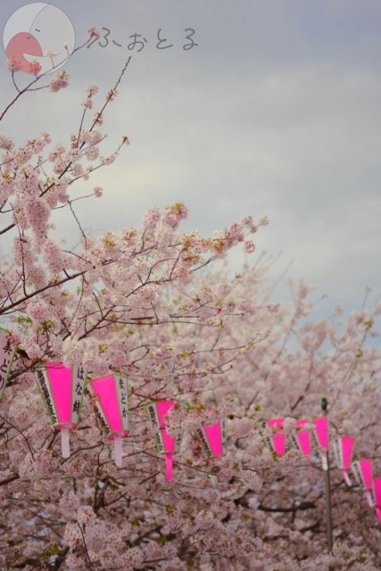 さいとうとおんのポートフォリオ2