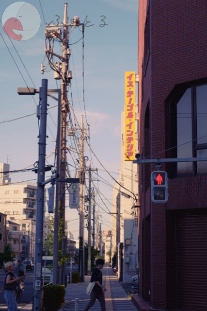 さいとうとおんのポートフォリオ4