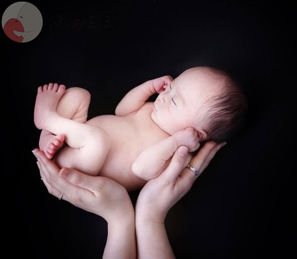 MocaPhotoのポートフォリオ2