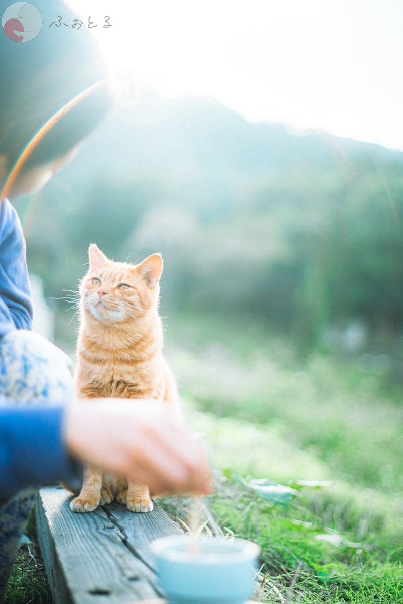 Yutaのポートフォリオ1