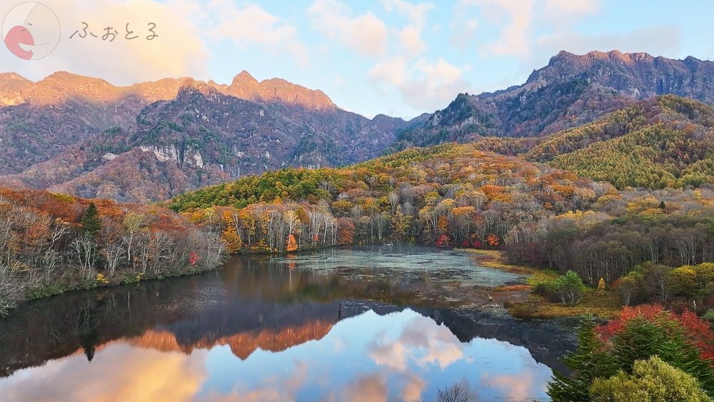 OGAのポートフォリオ5