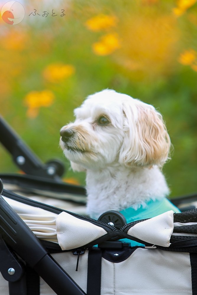 HIROYUKI OGAWAのポートフォリオ9