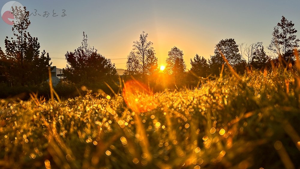 HIROYUKI OGAWAのポートフォリオ1