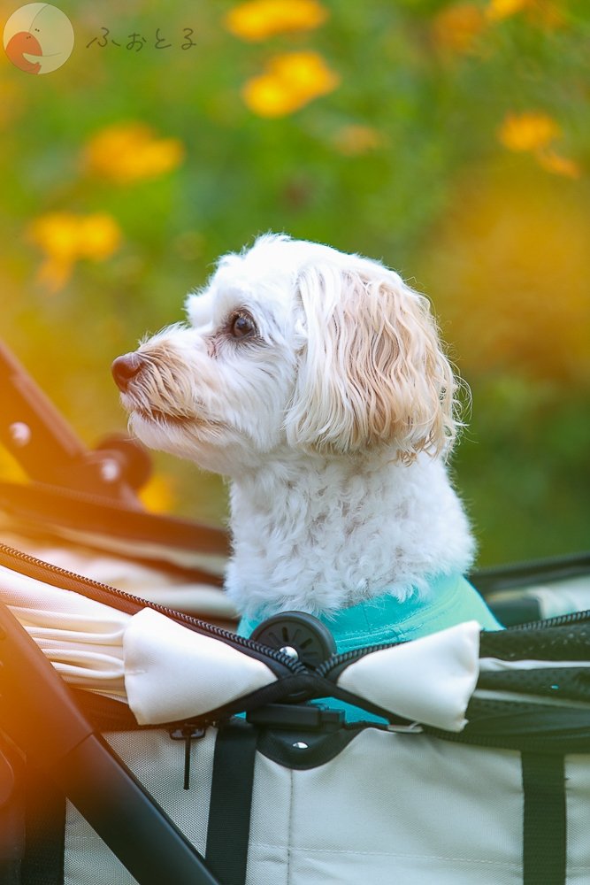 HIROYUKI OGAWAのポートフォリオ2