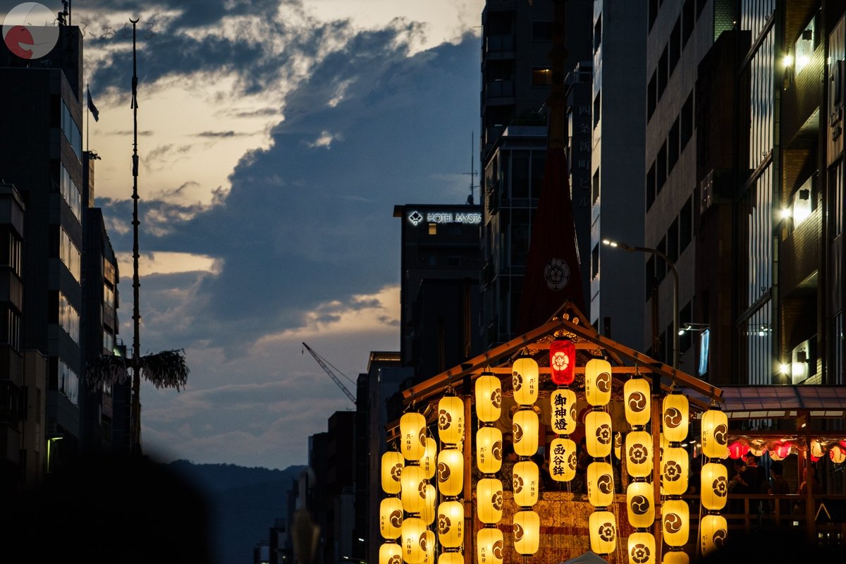 コリドラスのポートフォリオ0