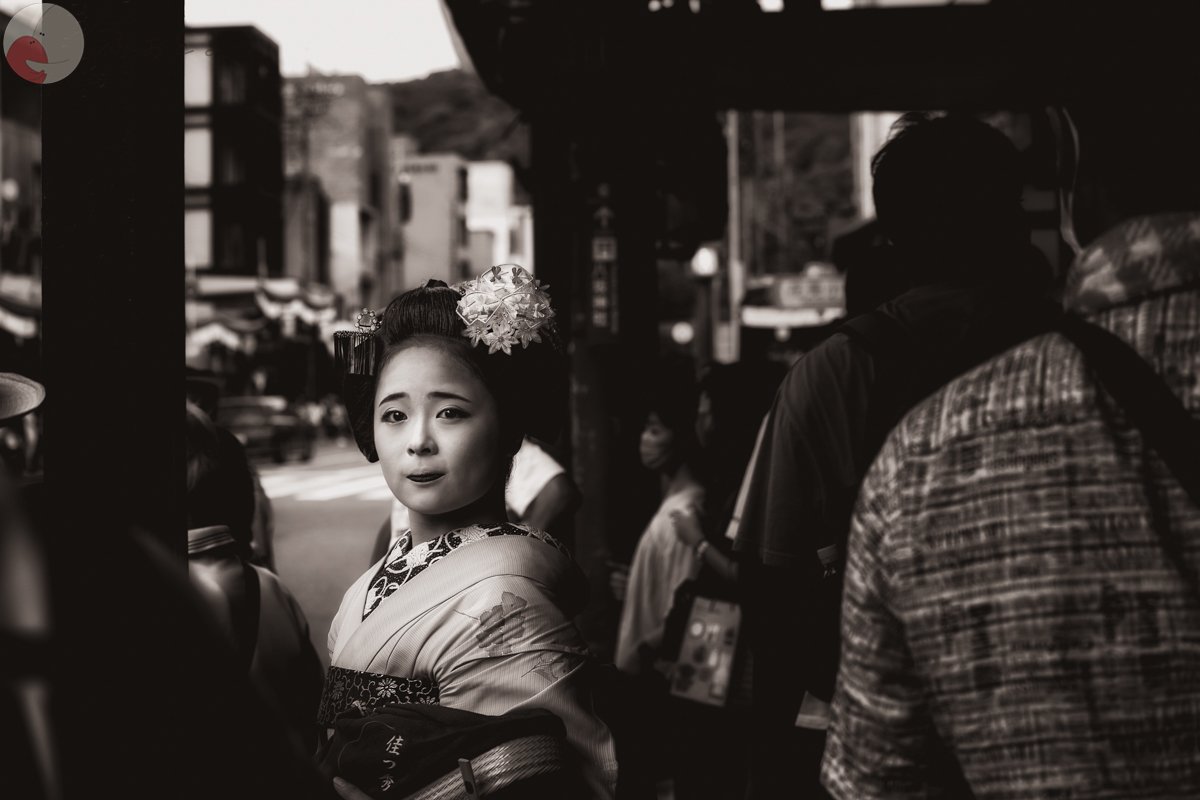 コリドラスのポートフォリオ1