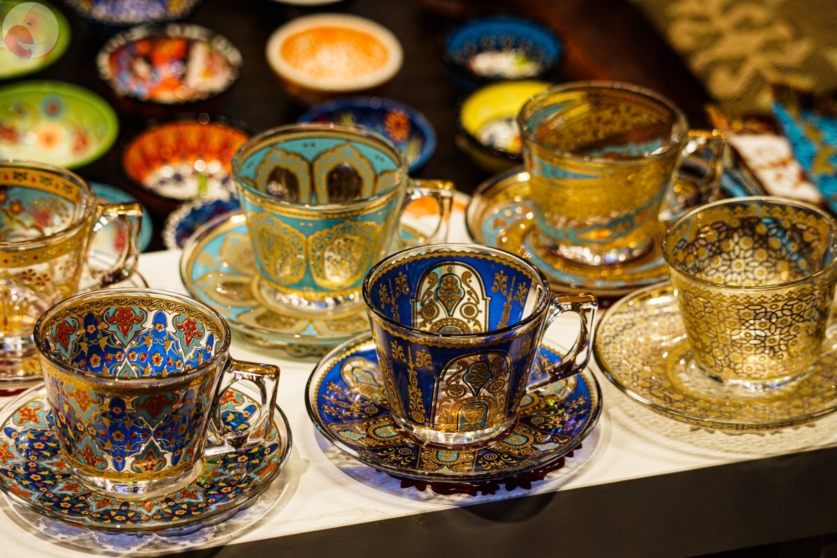 コリドラスのポートフォリオ3