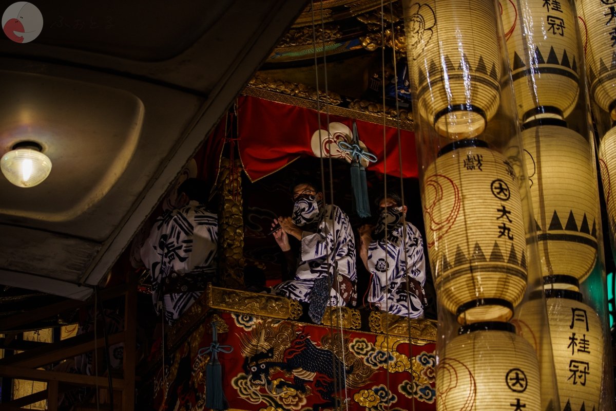 コリドラスのポートフォリオ4