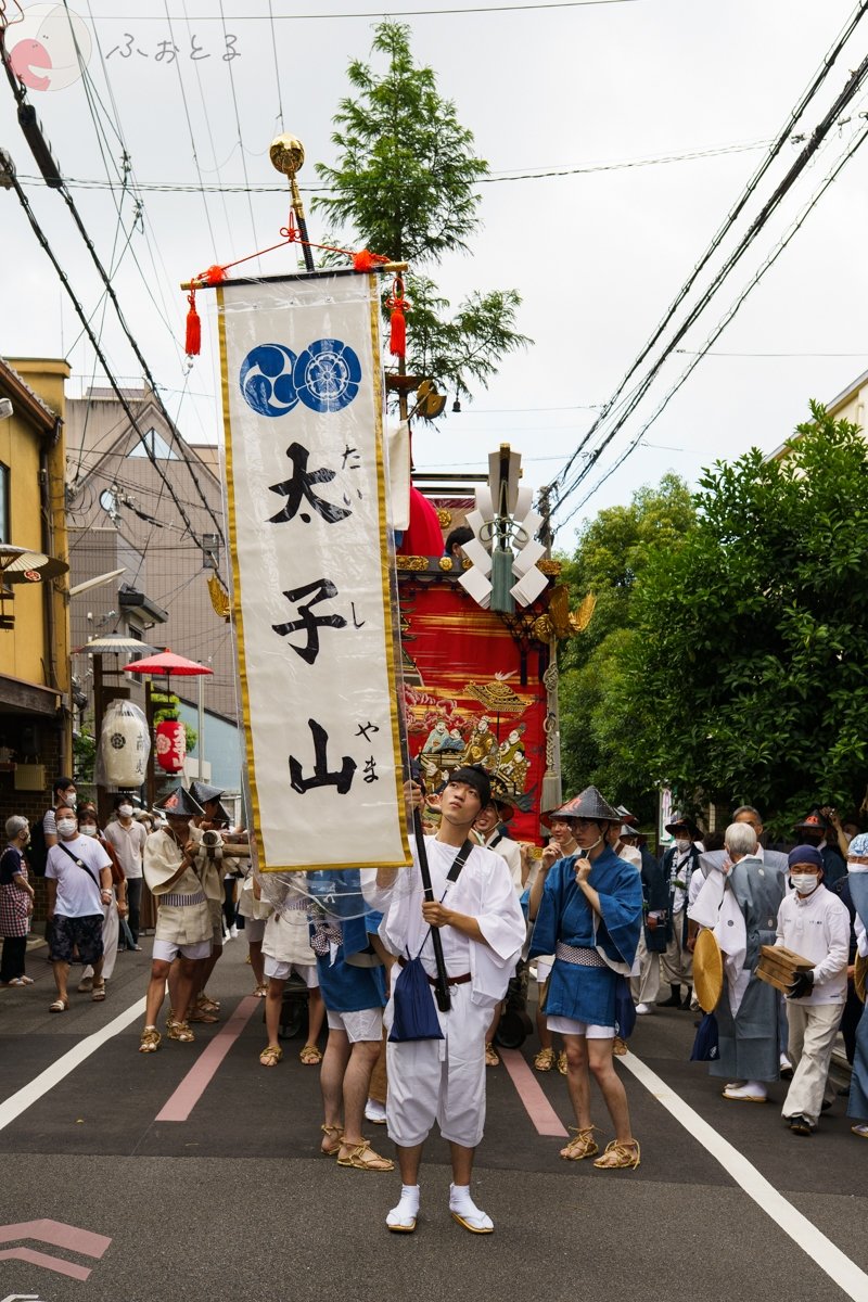 コリドラスのポートフォリオ5