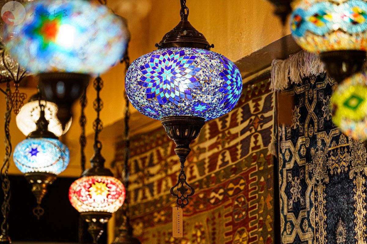 コリドラスのポートフォリオ6