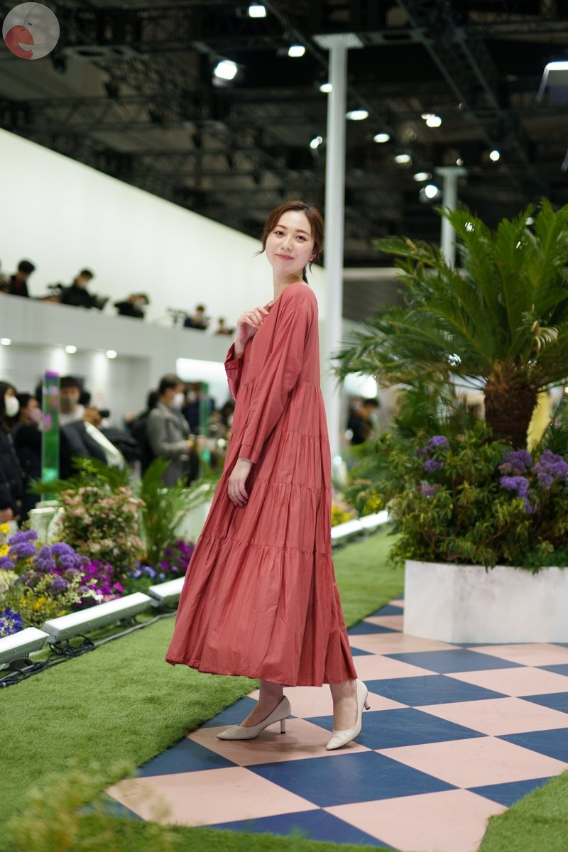 コリドラスのポートフォリオ8