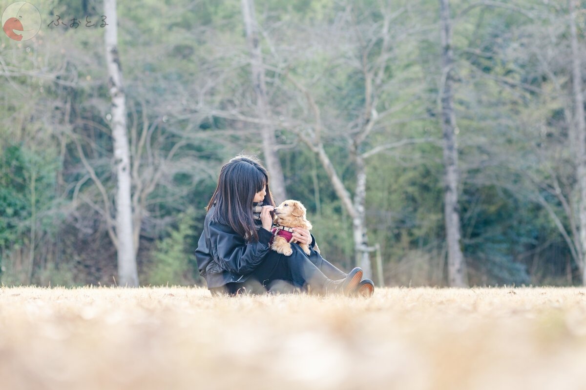 土肥のポートフォリオ4