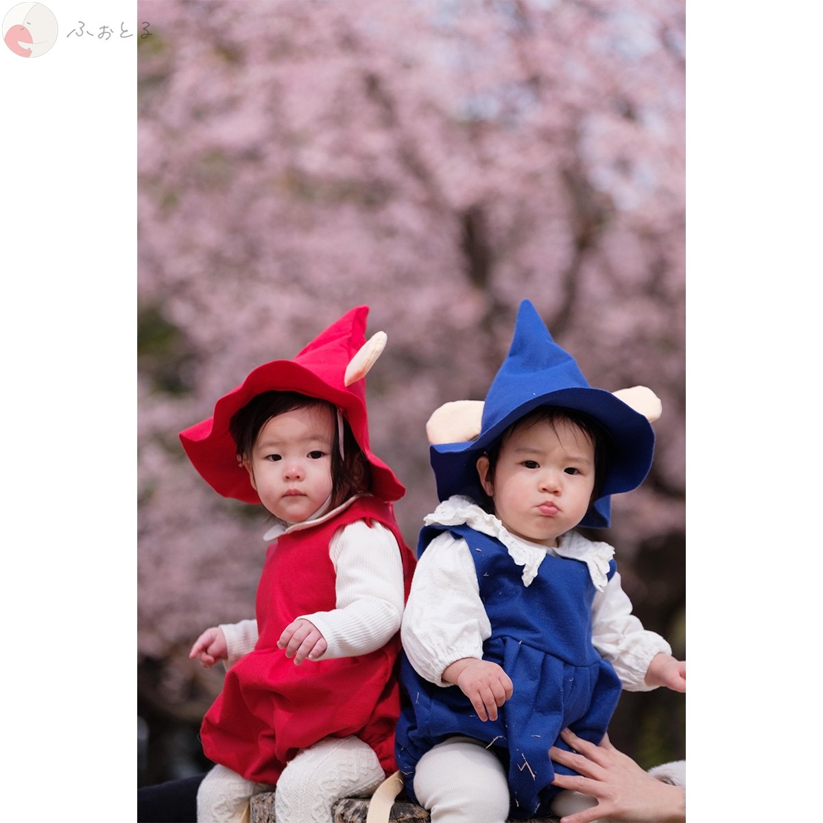 ヒカリノハコ店長ヒロのポートフォリオ4