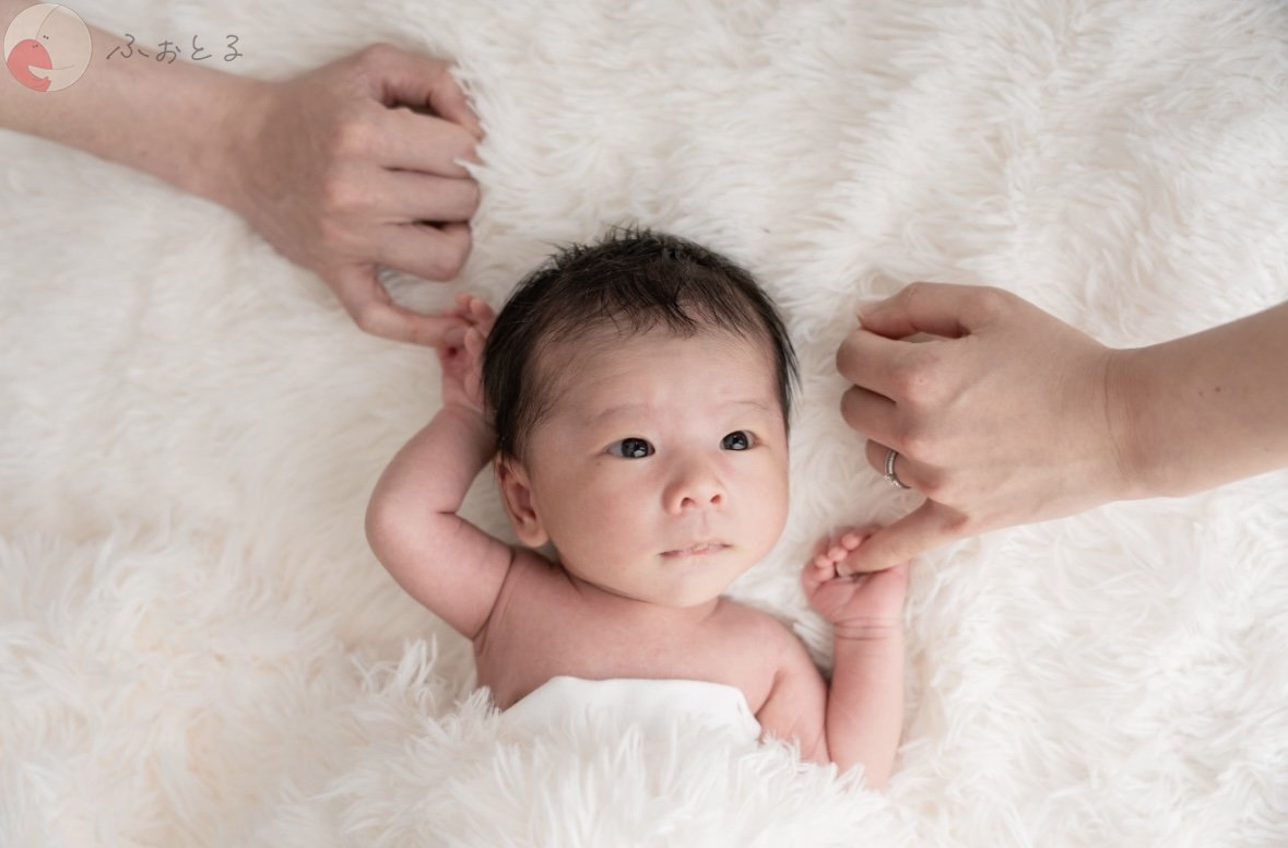 長谷川千晶のポートフォリオ2