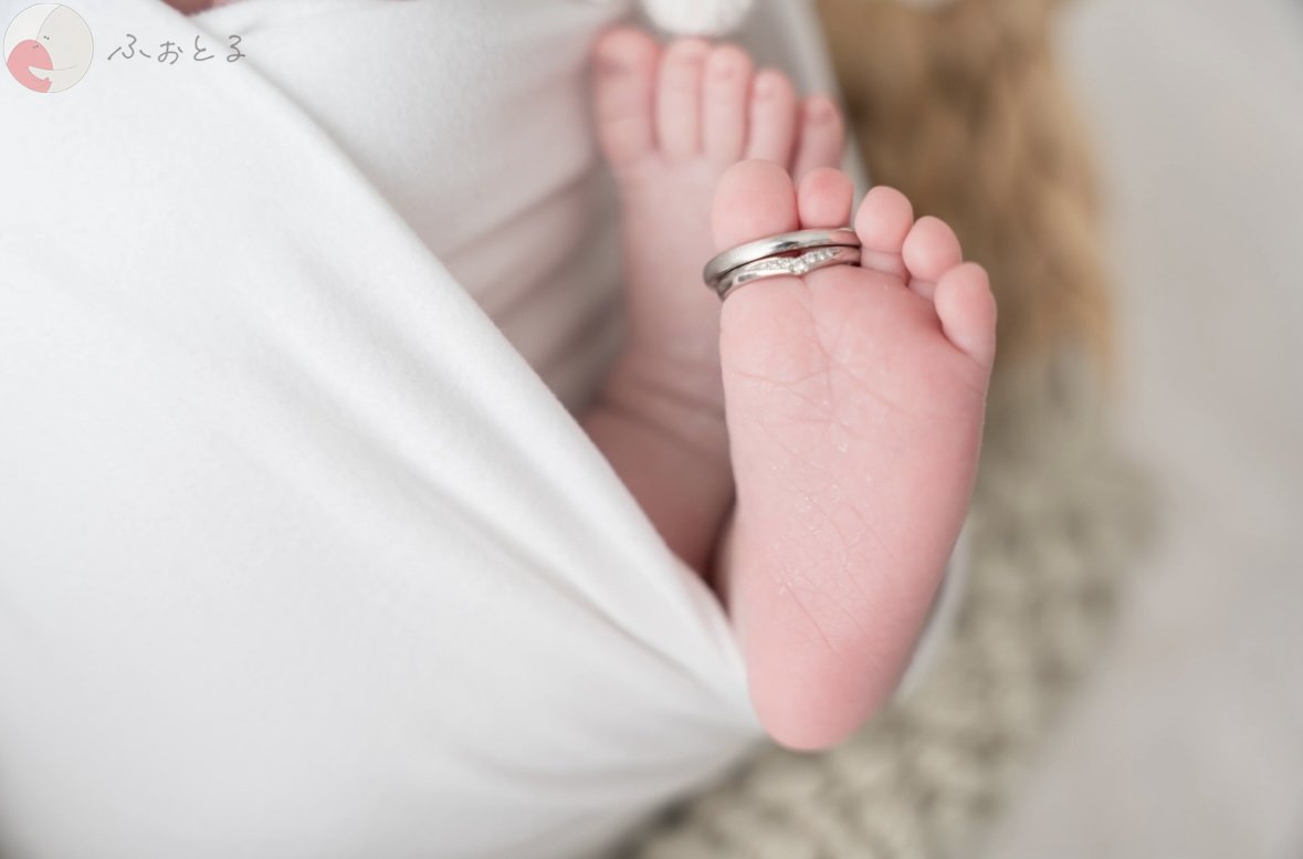 長谷川千晶のポートフォリオ3