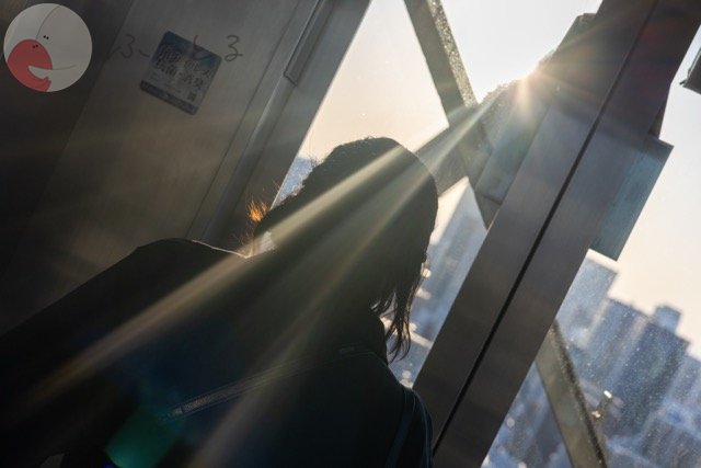 to_ma_24_24のポートフォリオ2